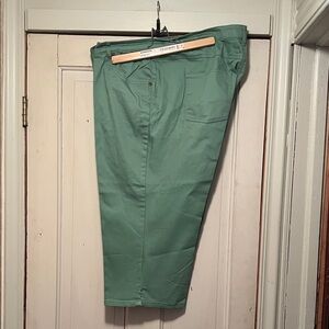 Woman Within SeaFoam Green Capris
